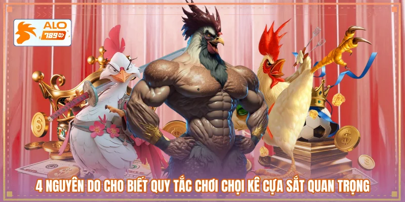 4 Nguyên do cho biết quy tắc chơi chọi kê cựa sắt quan trọng